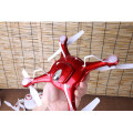 RED COLOR SYMA X5UW RC Quadcopter Drone With 720P 2.0MP HD Camera 2.4G 4CH 6Axis Smart Helicopter Height Hold Path Flight